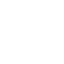 Icon for the launguage